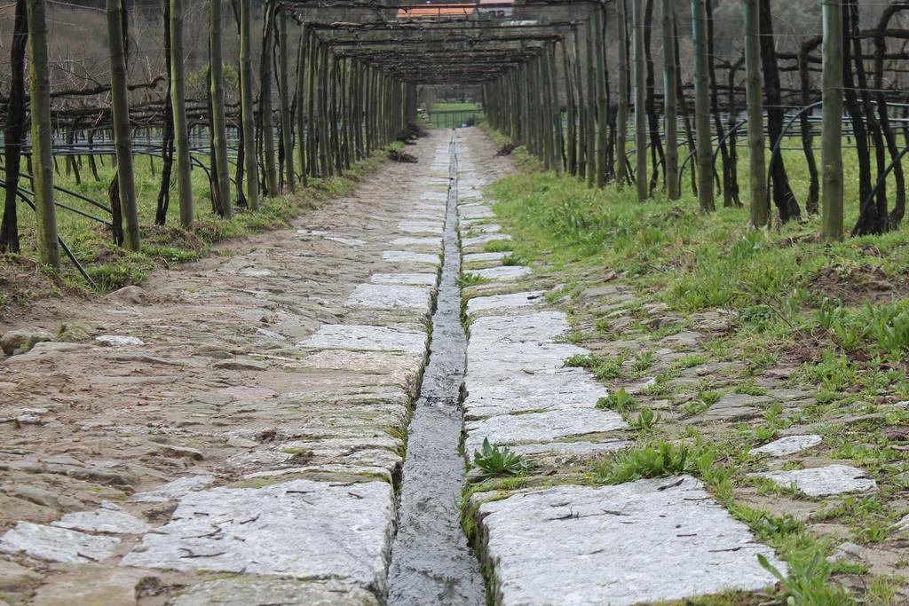 Вілла Quinta Da Eira Do Sol Гімарайнш Екстер'єр фото